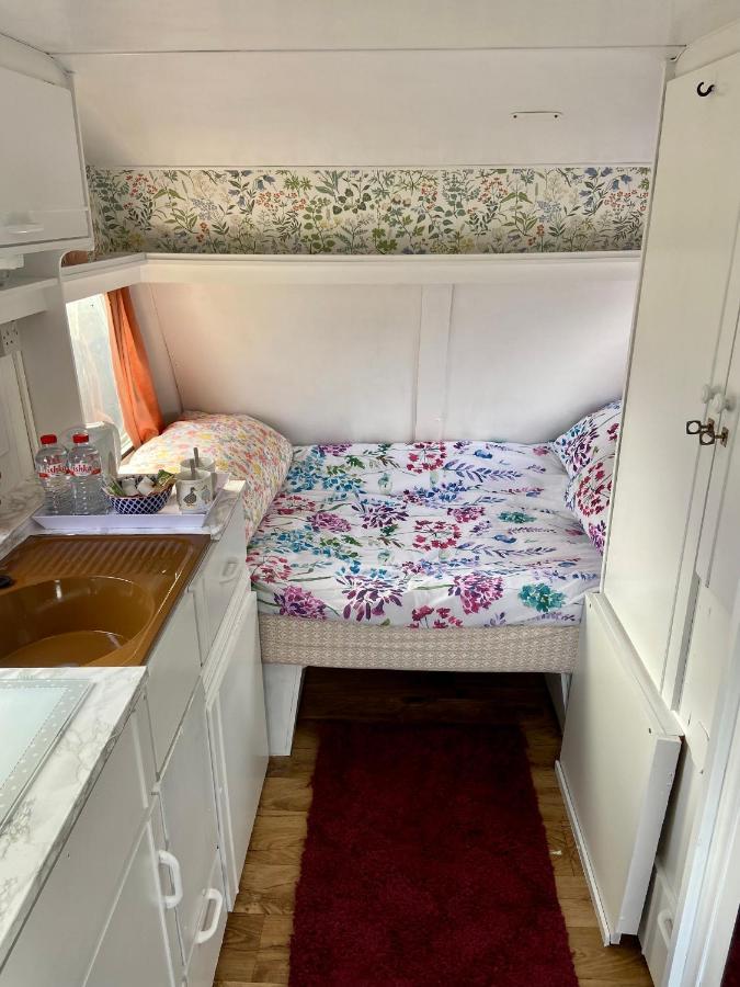基尔根尼 Cosy Caravan At Carrigeen Glamping酒店 外观 照片
